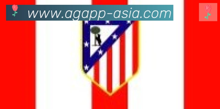 AG娱乐登录合作伙伴